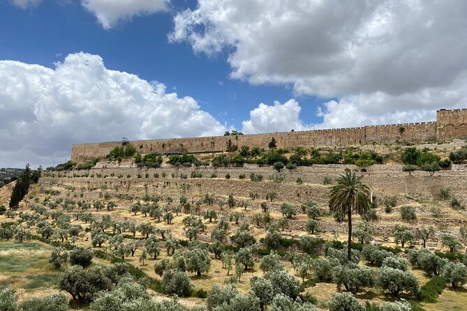 Morning Private Tour to Discover Jerusalem - Guided Exploration