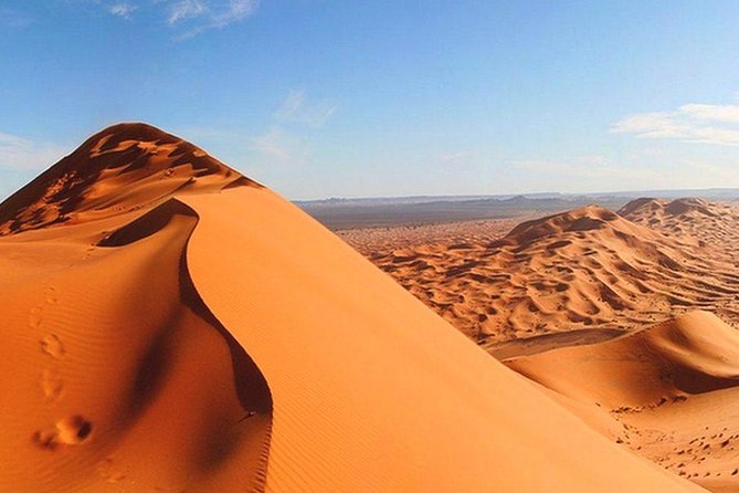 Morning Red Dunes Desert Safari - Scenic Red Desert Landscapes