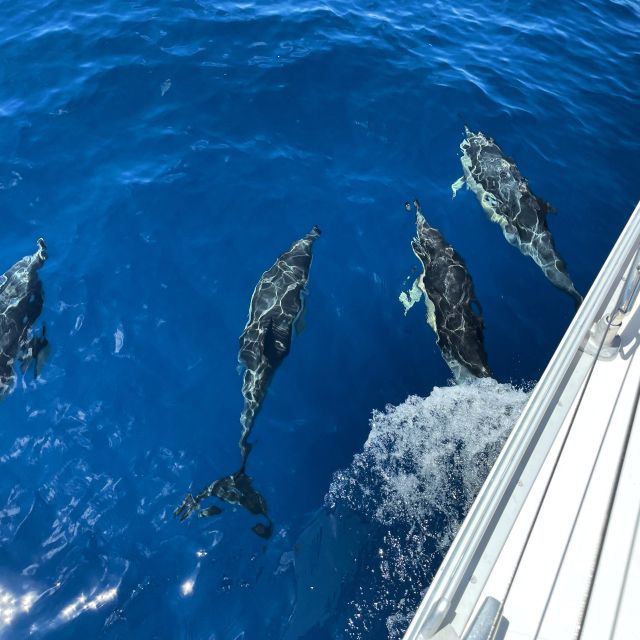 Morro Jable: Sailing Boat Excursion With Food and Drinks - Swimming With Marine Life