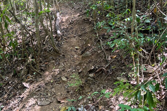 Mount Healthy National Park Private Hike Tour in Tortola - Whats Included