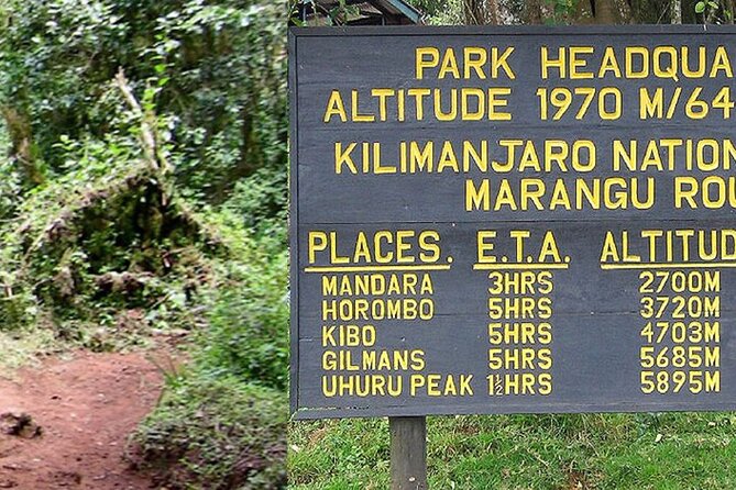 Mount Kilimanjaro Day Hike Through Marangu Route to Mandara Hut - Pickup and Start Time