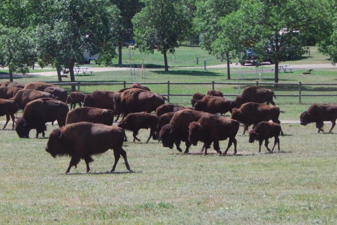 Mount Rushmore and Black Hills Tour With Two Meals and a Music Variety Show - Meals Included