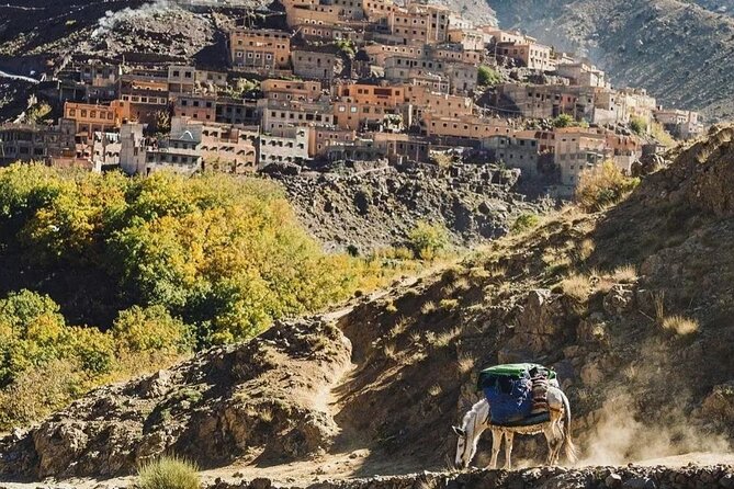 Mount Toubkal Day Trip From Marrakech Small Group - Inclusions and Exclusions