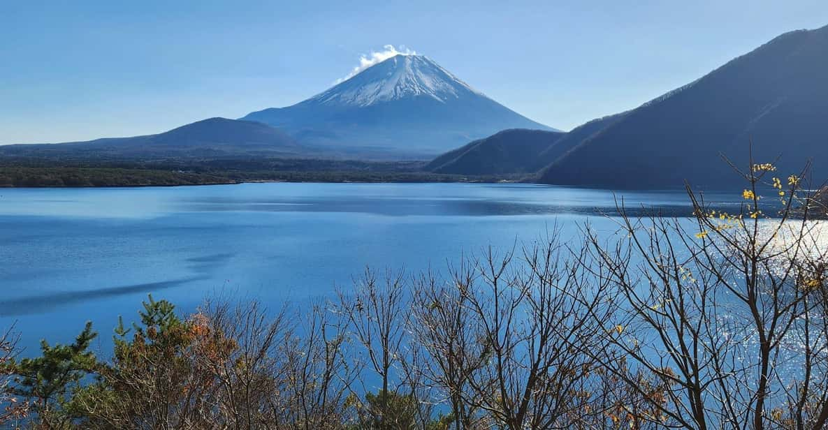 Mt Fuji and Hakone Private Tour With English Speaking Driver - Pickup and Itinerary Details