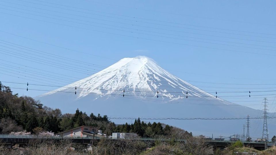 Mt Fuji & Hakone: Sightseeing Private Day Tour With Guide - Itinerary Highlights