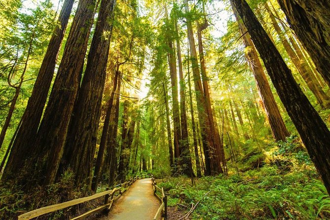 Muir Woods, Golden Gate Bridge + Sausalito With Optional Alcatraz - Tour Logistics and Details