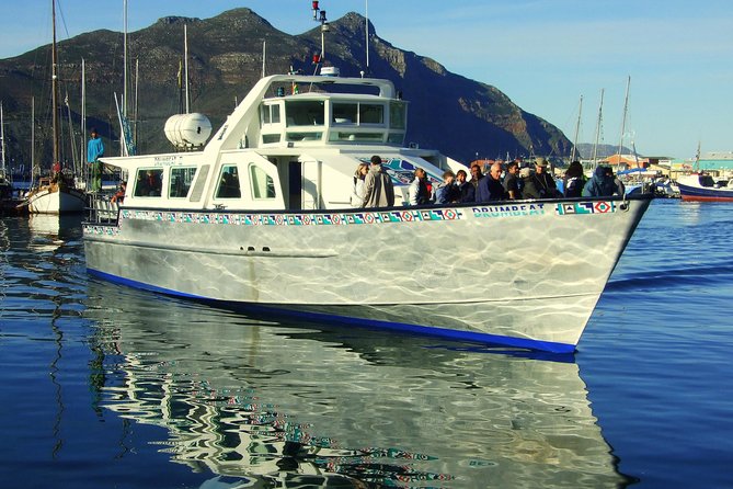 MUST Do: Cape Peninsula Tour & Good Hope From Cape Town! #1 Rated - Detailed Itinerary