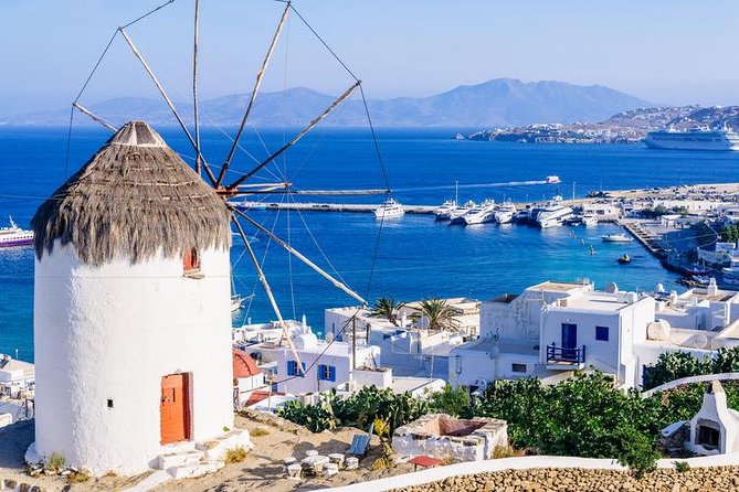 Mykonos Town and Island Half-Day Tour - Inclusions and Meeting Details