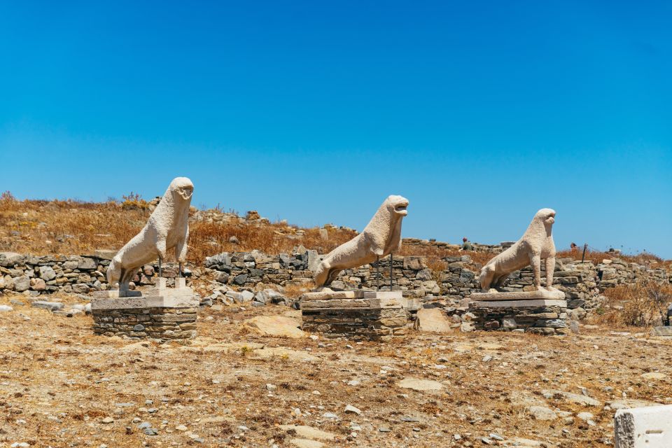 Mykonos Town: Archaeological Site of Delos Guided Day Trip - Itinerary and Experience