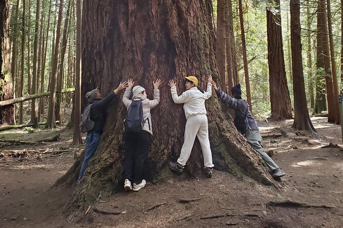 Mystical Rainforest Tour - Forest Magick - Nature Experience