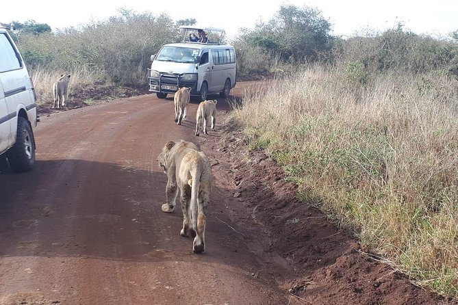 Nairobi Nat Park,Sheldrick Elephant Giraffe Centre&Karen Blixen - Sheldrick Elephant Orphanage