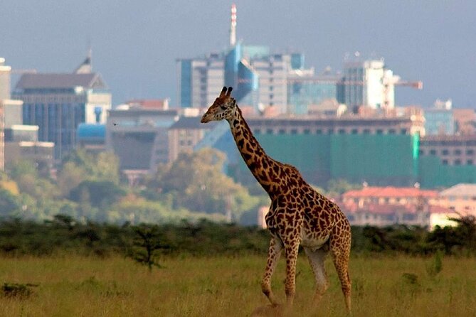 Nairobi National Park Group Shared Tour - Inclusions and Exclusions