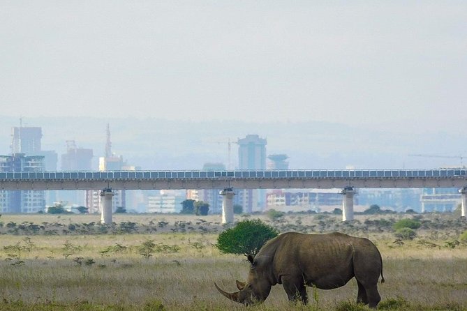 Nairobi National Park Guided Half Day Tour Game Drive- FREE WIFI - Inclusions and Fees