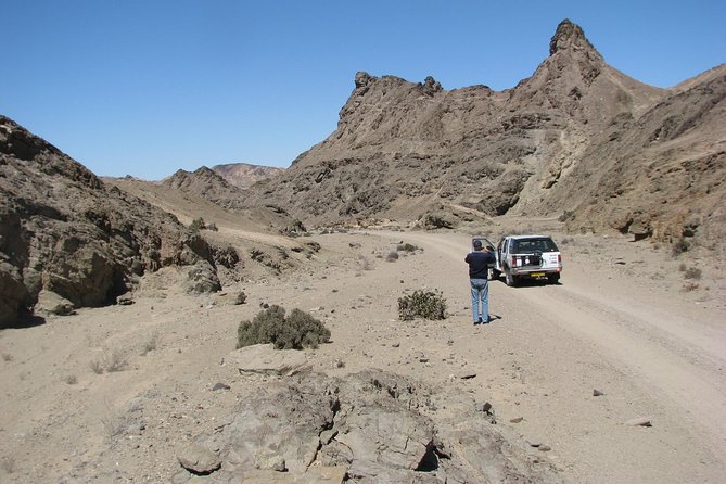 NAMIB DESERT Tours, Full-Day and Half-Day TOURS From Swakopmund, Namibia - Accessibility and Participation