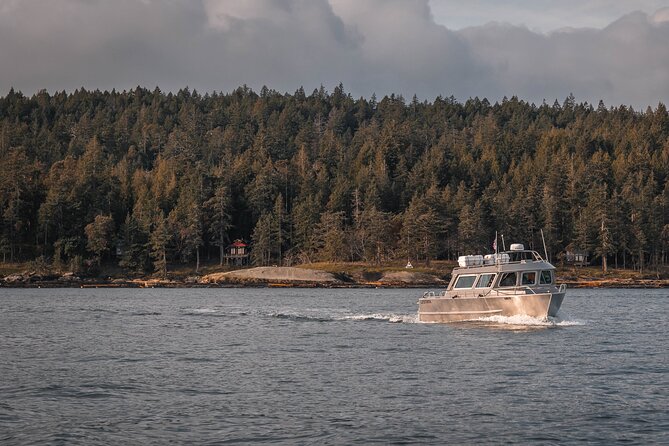 Nanaimo Whale Watching in a Semi-Covered Boat - Sighting Majestic Marine Creatures