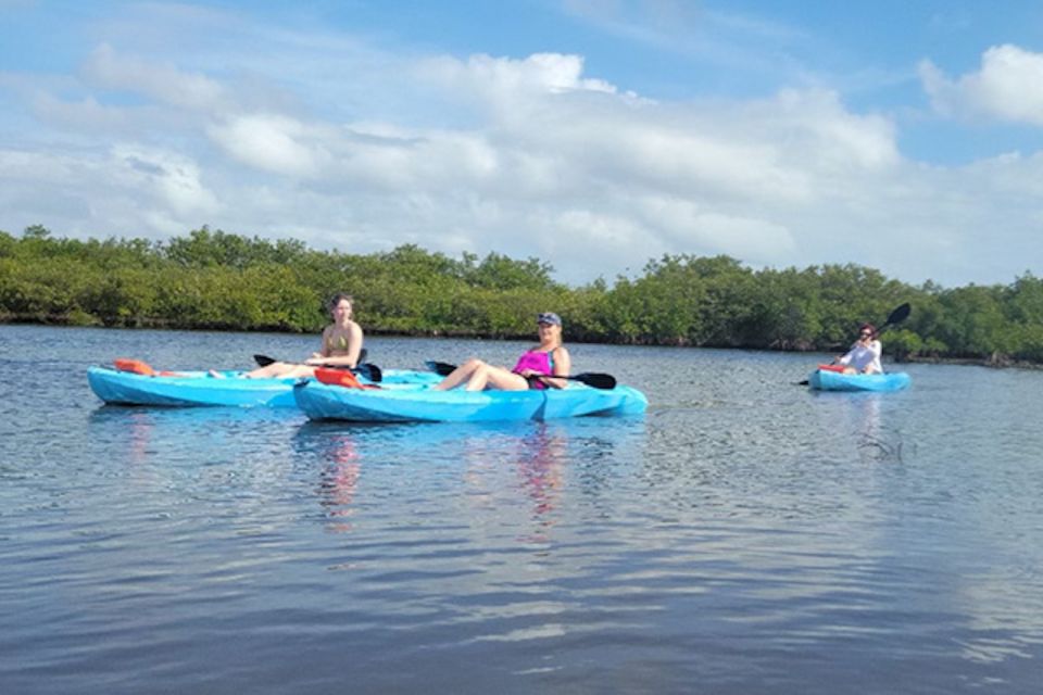 Naples, FL: Guided Standup Paddleboard or Kayak Tour - Wildlife Experience