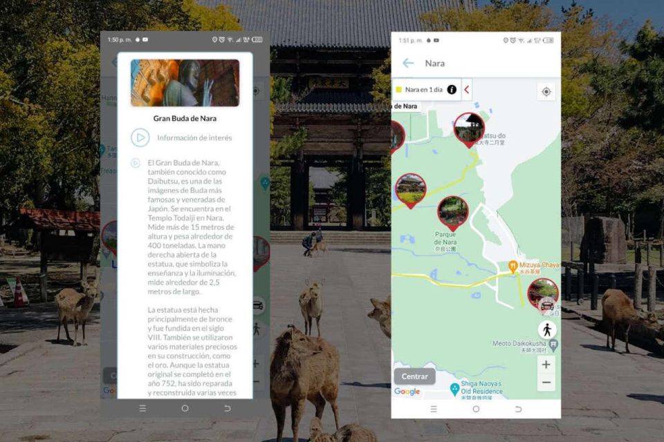 Nara Self-Guided App With Multi-Language Audio Guide - Language Support and Content