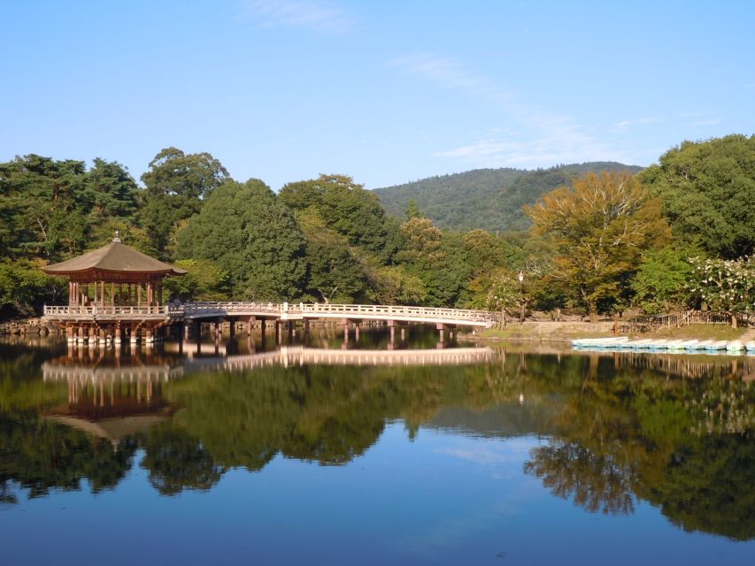 Nara: Todai-ji and Nara Park (Spanish Guide) - Todai-ji Experience