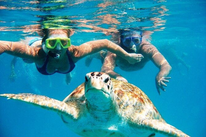 Nassau Aquatic Reef Tour: Snorkel, Turtle Watch, Lunch Included - Meeting Point and Pickup