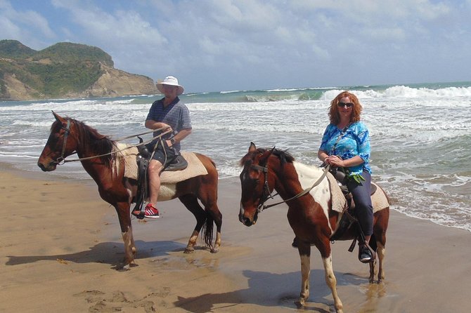 Nature & Historical Horseback Riding Tours St. Lucia - Pickup and Meetup