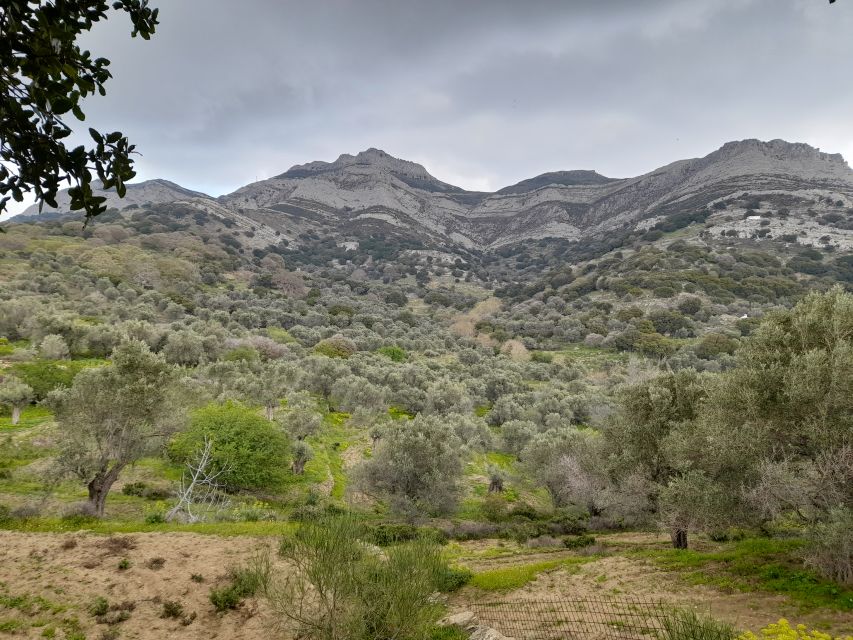 Naxos: Countryside Hike Among Villages & Byzantine Churches - Hiking Experience