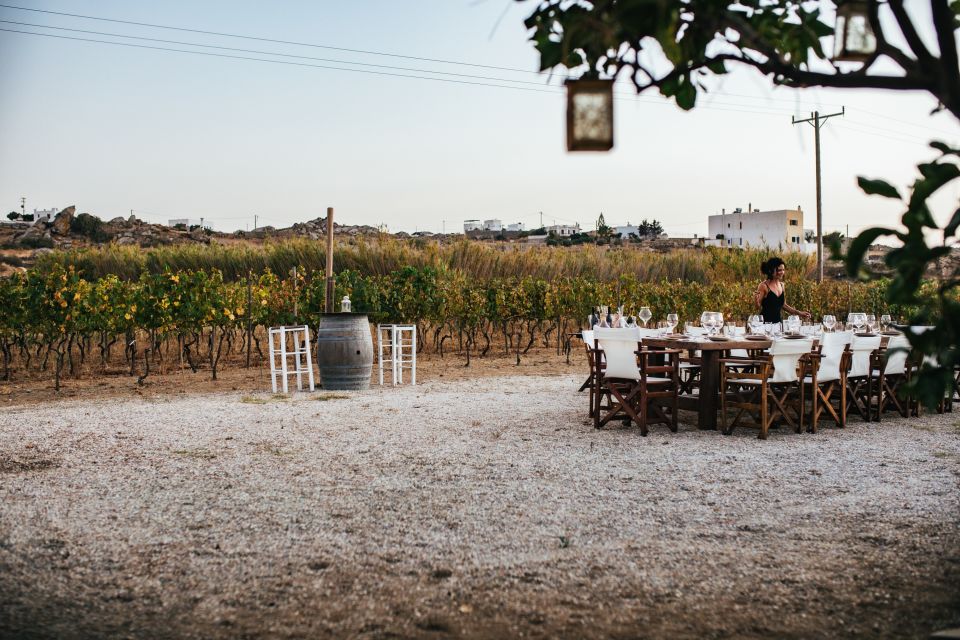 Naxos: Full Moon Dinner and Wine Tasting in a Vineyard - Wine and Food Experience