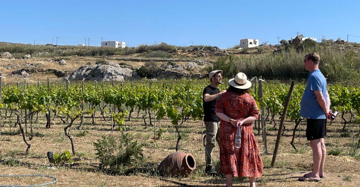 Naxos: Private Vineyard Tour & Wine Tasting With an Expert - Wine Experience