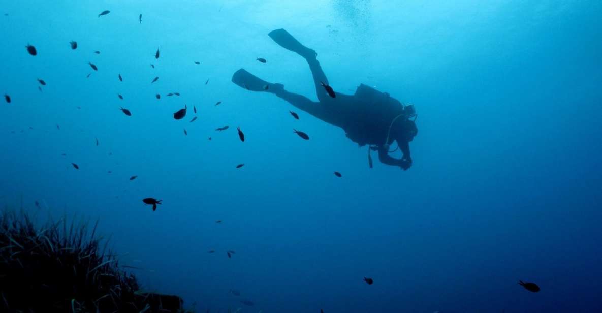 Nea Makri: Open-Water Diving Advanced PADI Course - Course Structure