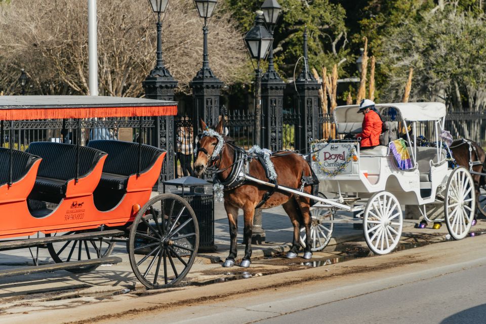 New Orleans: Guided City Sightseeing Tour by Bus - Itinerary and Highlights