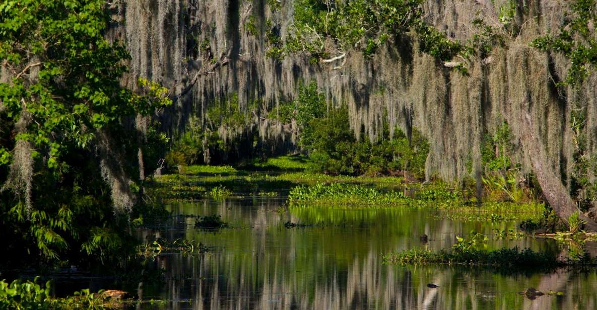 New Orleans: High Speed 16 Passenger Airboat Ride - Activity and Duration