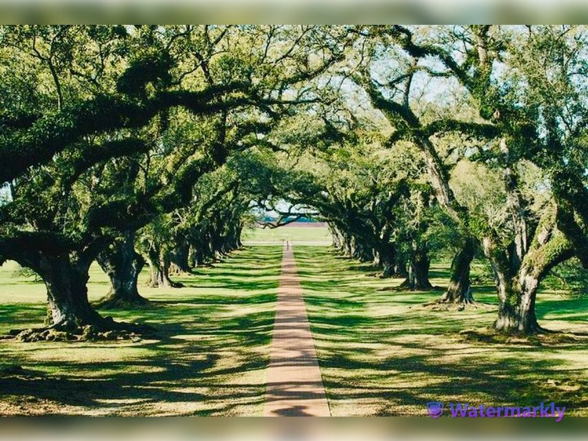 New Orleans: Oak Alley Plantation and Katrina City Tour - Itinerary Highlights