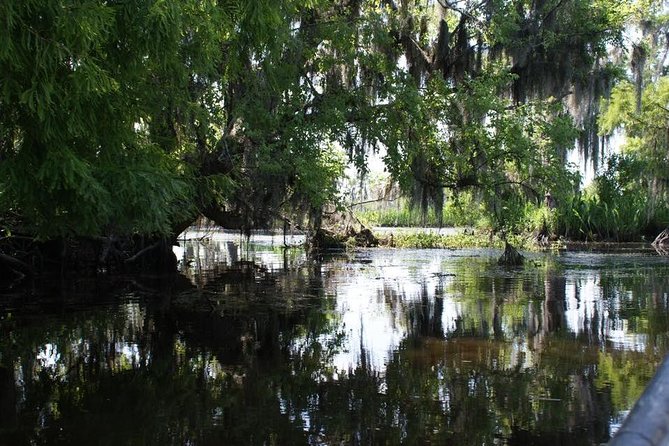 New Orleans Small-Group Airboat Swamp Tour - Experience Highlights