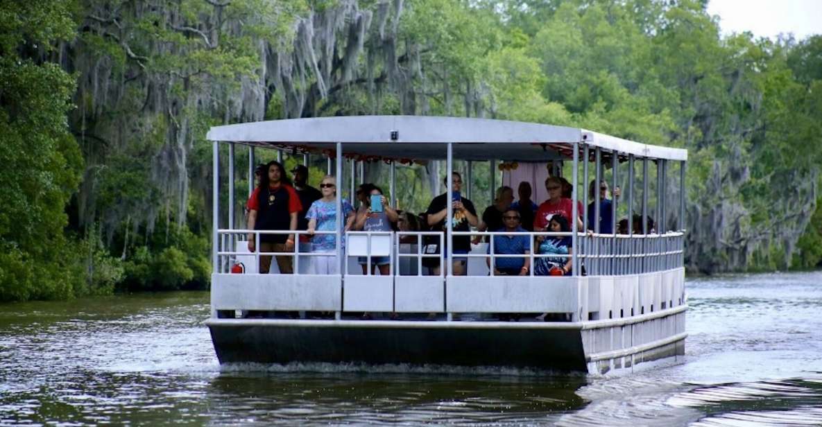 New Orleans: Swamp Tour on Covered Pontoon Boat - Tour Experience and Highlights