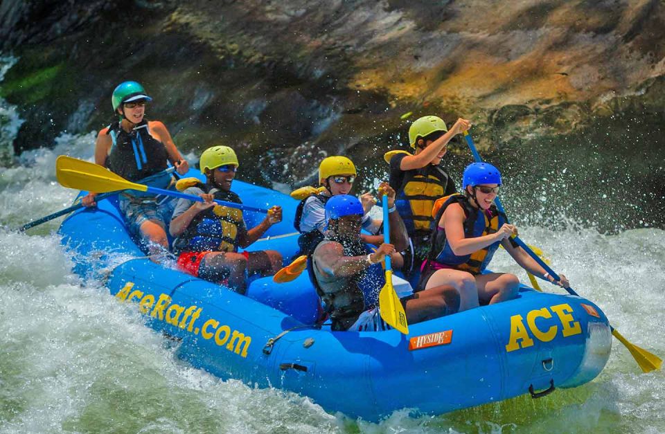 New River Gorge Whitewater Rafting - Lower New Full Day - New River Gorge National Park