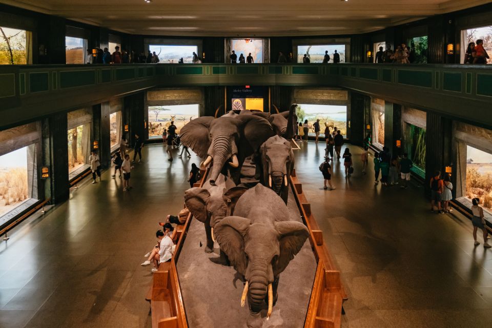 New York City: American Museum of Natural History Ticket - Museum Experience