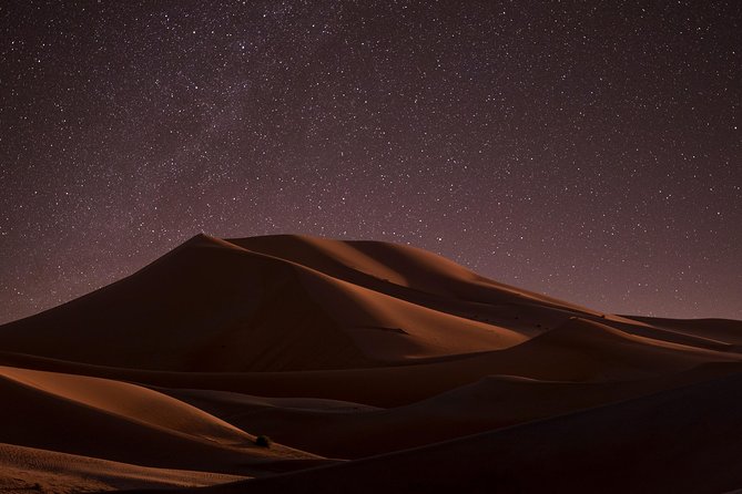 Night Desert Safari | Sand Boarding || Camel Ride || Inland Sea - Inclusions