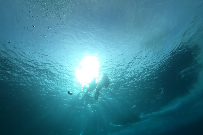 Night Diving At Caribbean Sea - Inclusions