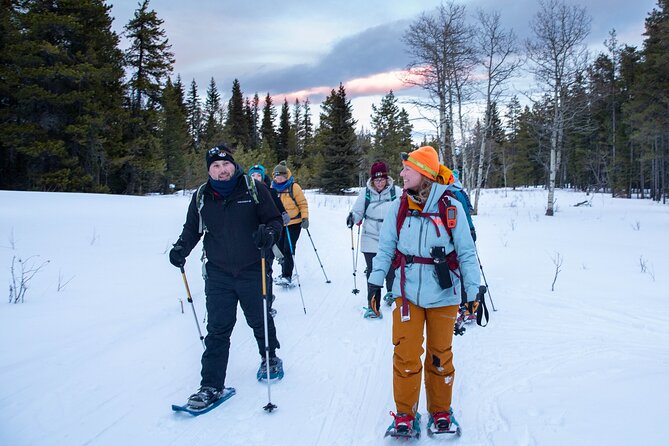 Night Snowshoeing Near Castle Mountain Resort With Local Guide - Start Time