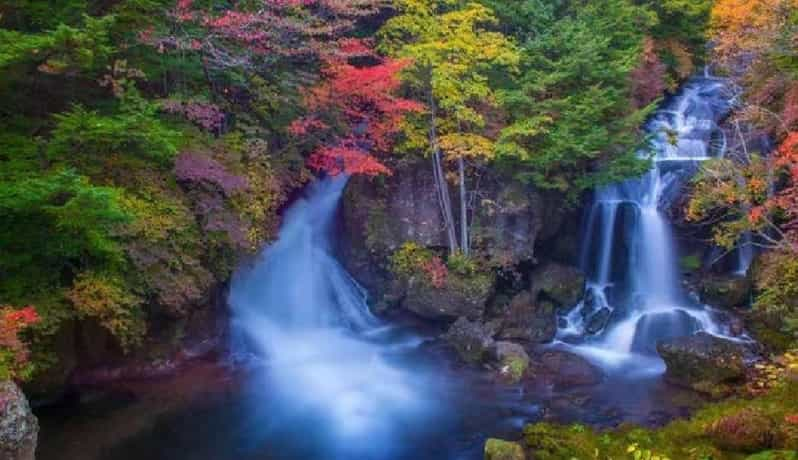 Nikko Toshugo Day Tour Review - Itinerary and Highlights