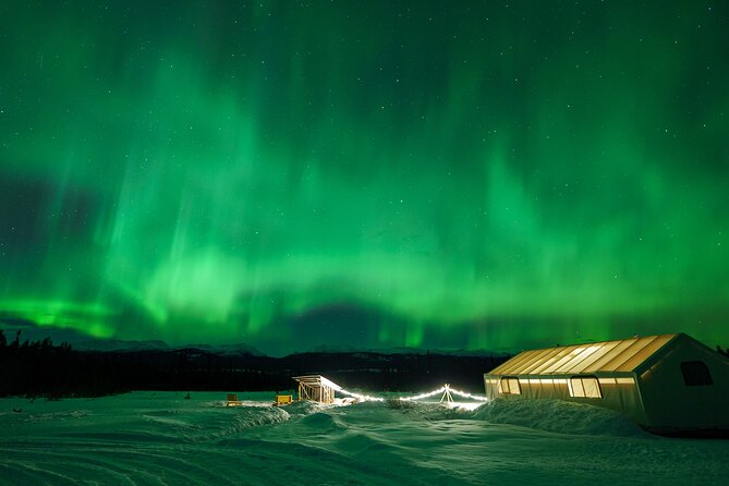 Northern Lights & Aurora Borealis Viewing - Small Groups - Included in the Tour