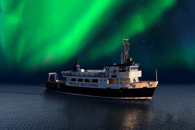 Northern Lights Boat Cruise From Reykjavik - Cruise Details