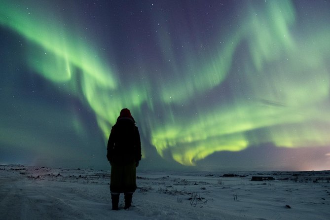 Northern Lights Small Group Tour From Reykjavik With Free Photos - Logistics