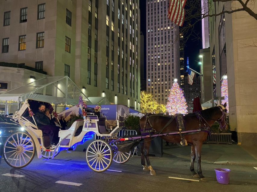 NYC: Guided Central Park Horse Carriage Ride - Highlights of the Ride