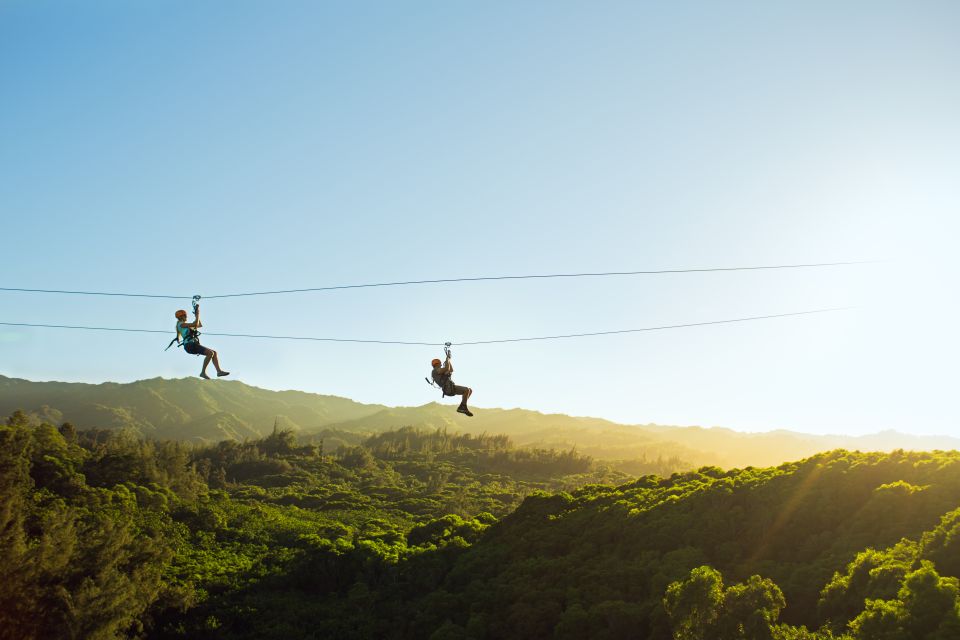 Oahu: North Shore Zip Line Adventure With Farm Tour - Exhilarating Dual Zip Lines