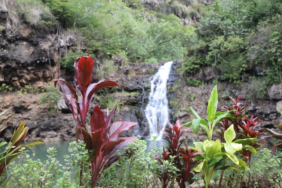 Oahu: Valley of Waimea Falls Swim & Hike With Lunch & Dole - Itinerary Highlights