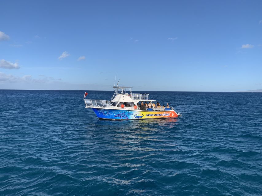 Oahu: Waikiki BYOB Sunset Cruise - Experience Highlights