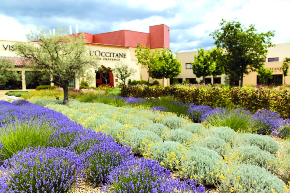 Ocean of Lavender in Valensole - Exploring the Picturesque Village