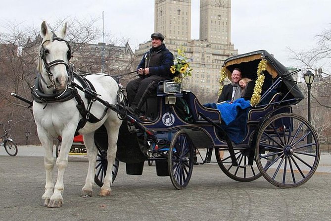 Official NYC Horse Carriage Rides in Central Park Since 1979 ™ - Meeting Point and Accessibility