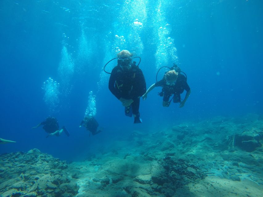 Oia: 2 Guided Scuba Dives off Santorini for Certified Divers - Diving Experience