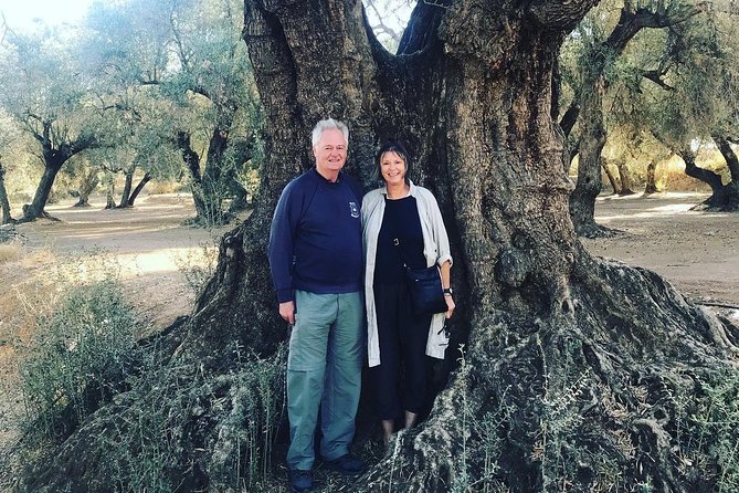 Olive Oil Tour and Visit to Belchite Old Town - Inclusions and Exclusions